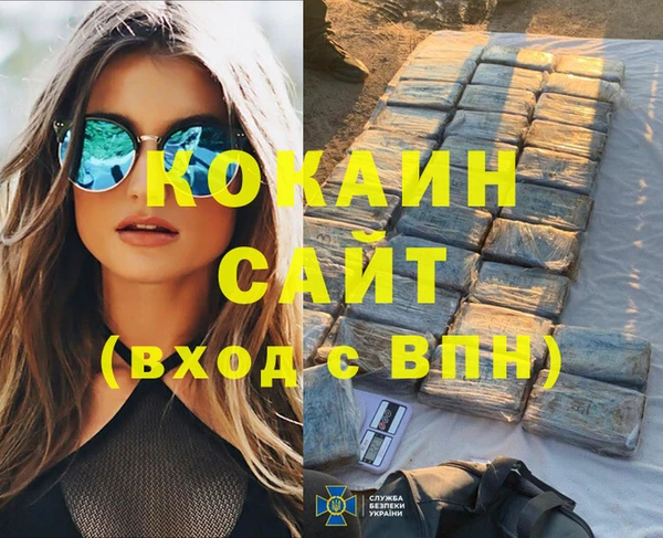 дмт Гусев