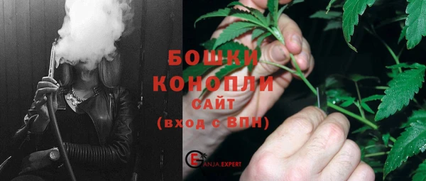 дмт Гусев