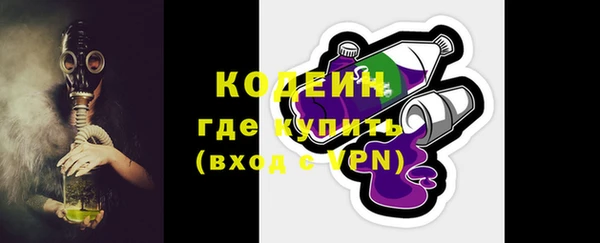 дмт Гусев
