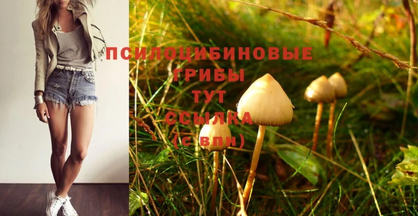 прущие крисы Гусиноозёрск