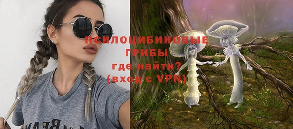 дурь Горнозаводск