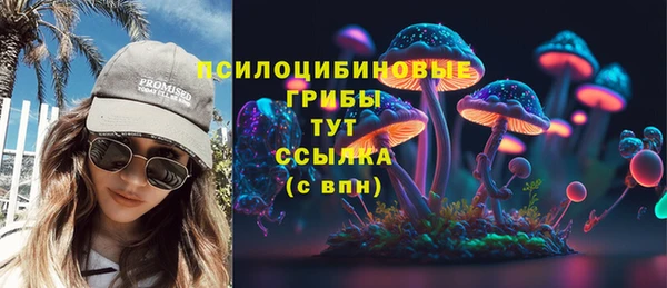дмт Гусев