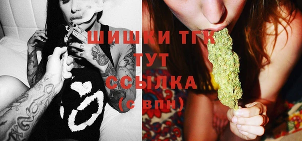 дмт Гусев