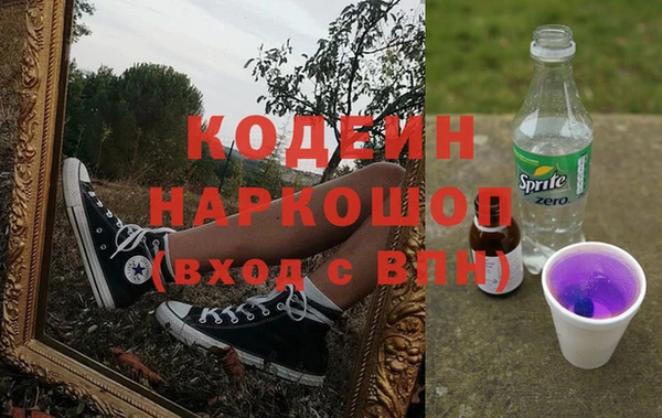 дмт Гусев