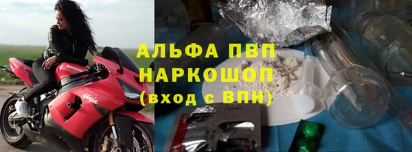 дмт Гусев