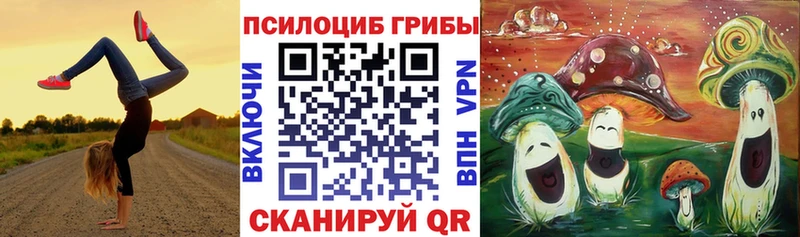 Псилоцибиновые грибы мицелий  Балашиха 